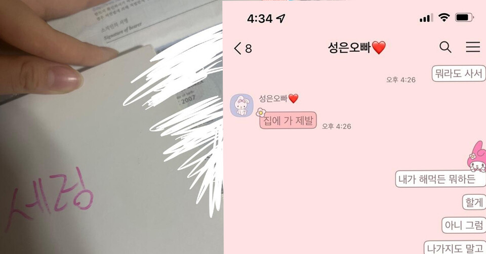 유튜버 갓성은, 미성년자 손세정 성범죄·동물 학대 혐의로 징역 9년 구형